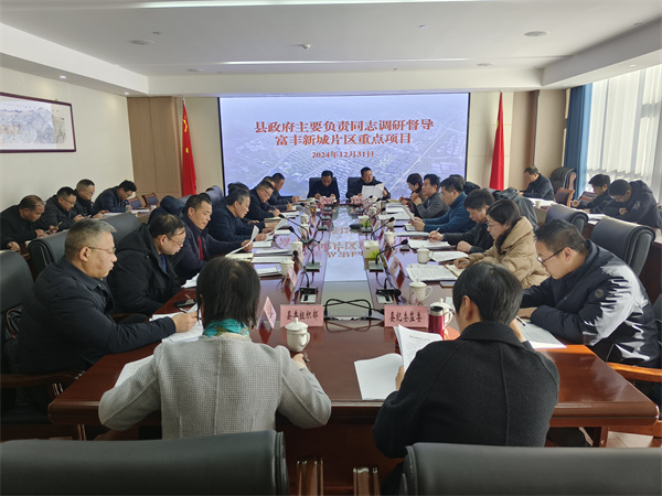 12月31日，縣政府主要負責同志調(diào)研督導富豐新城片區(qū)重點項目.jpg