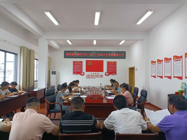 1694772081530508.jpg 洪董帶隊調(diào)研市政公司、逸寧公司和質(zhì)檢公司黨的建設(shè)工作.jpg